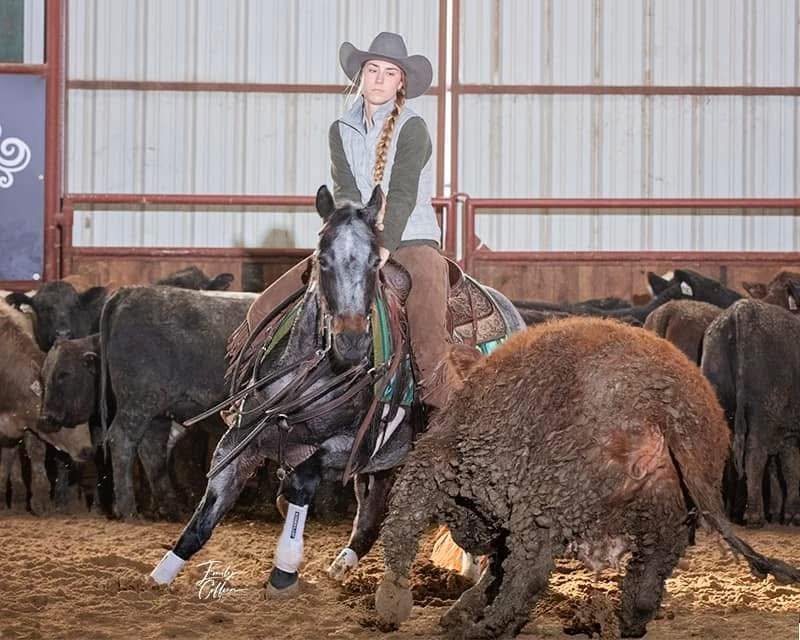 Horse training